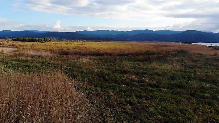 나무 식물 계절 바다 잎 자연 하늘 건조 안테나 사람없음 초록색 물 환경 만 습지 지중해 고도 관목 언덕 서식지 창백 드론 파스텔톤 4K MP4 해외동영상 클립영상 자연요소 컬러 통신 생태계 동영상 파일형식