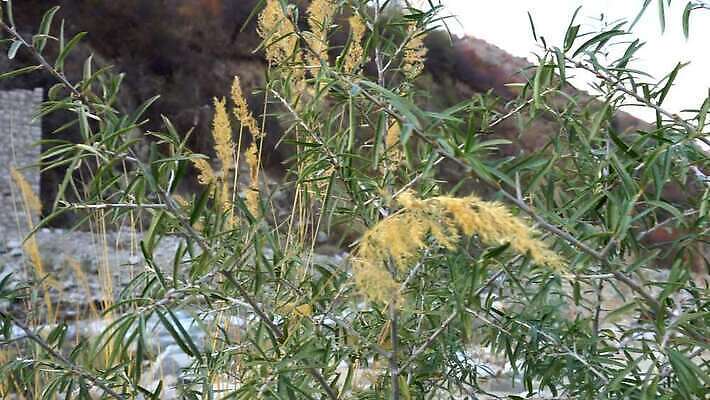 나무 식물 여행 잎 건축양식 자연 산 사람없음 야외 건물 빨간색 초록색 물 강 반사 교회 골짜기 도시 역사 숲 강가 허브 폴란드 8월 랜드마크 옛날 카자흐스탄 크라쿠프 4K MP4 해외동영상 클립영상 자연요소 건축물 건축 유럽 아시아 컬러 종교건축 날짜 생태계 동영상 파일형식