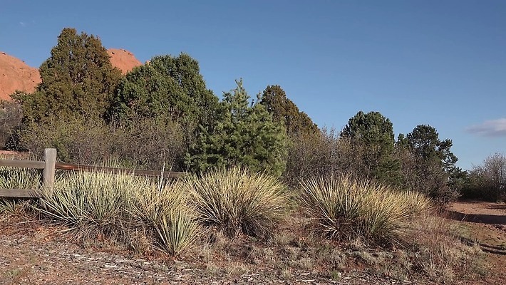 공원 여행 백그라운드 오렌지 자연 하늘 산 사람없음 빨간색 정원 미국 봄 내추럴 랜드마크 전국 지질 콜로라도 4K MP4 해외동영상 클립영상 계절 공공시설 컬러 북아메리카 과일 생태계 동영상 파일형식