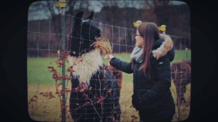 동물 여자 음식 한명 친구 울타리 수확 시골 먹이 필름 복고 서식지 내추럴 라마 알파카 옛날 MOV 해외동영상 클립영상 1 농업 관계 사람 담장 동영상 파일형식