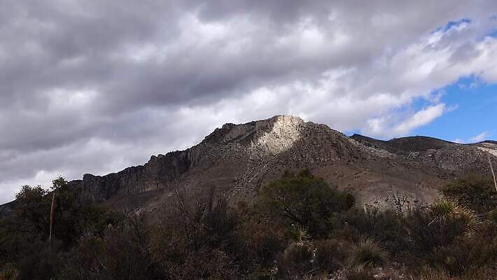 나무 식물 구름 꽃 백그라운드 자연 하늘 날씨 산 선인장 건조 풍경 사람없음 물 여름 사막 뜨거움 가시 언덕 날카로움 내추럴 뇌우 뉴멕시코 다육식물 4K MP4 해외동영상 클립영상 자연요소 계절 생태계 동영상 파일형식