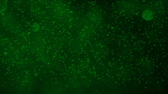 모양 호수 음료 바다 백그라운드 휴식 조명 사람없음 물 반사 환경 수중 거품 알코올 액체 잠수함 아래 다이빙 콜라 소다 MOV 해외동영상 클립영상 자연요소 컨셉 수영 방향 탄산음료 위치 동영상 수중스포츠 파일형식