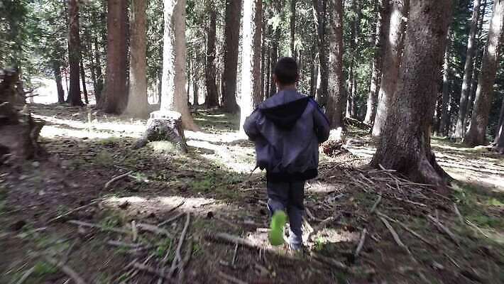나무 놀이 휴가 손자 산 건강 한명 사람 소년 성인 야외 옆모습 달리기 조깅 소나무 아빠 숲 무서움 도둑 사냥 공포 추적 고문 호러 혼자 1인칭시점 오싹 4K MP4 해외동영상 클립영상 식물 1 시선 남자 감정 어린이 뷰포인트 가족 모션 운동 범죄인 손주 동영상 파일형식