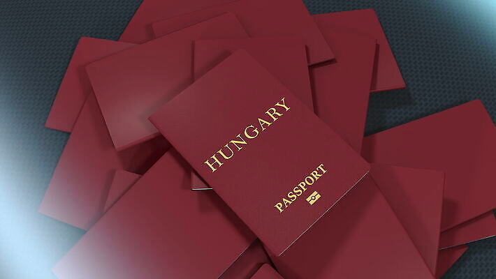 여행 사람 사람없음 문서 여권 신분 우표 헝가리 정부 이민 국경 4K MOV 해외동영상 클립영상 이동 동영상 동유럽 파일형식