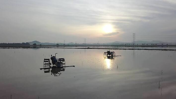 식물 전통 공원 문화 백그라운드 농업 풍경 사람없음 물 여름 태양 농장 농경지 환경 기계 시골 농부 땅 트랙터 엔진 내추럴 논밭 4K MOV 해외동영상 클립영상 자연요소 직업 계절 공공시설 산업 밭 논 농기계 특수차량 동영상 파일형식