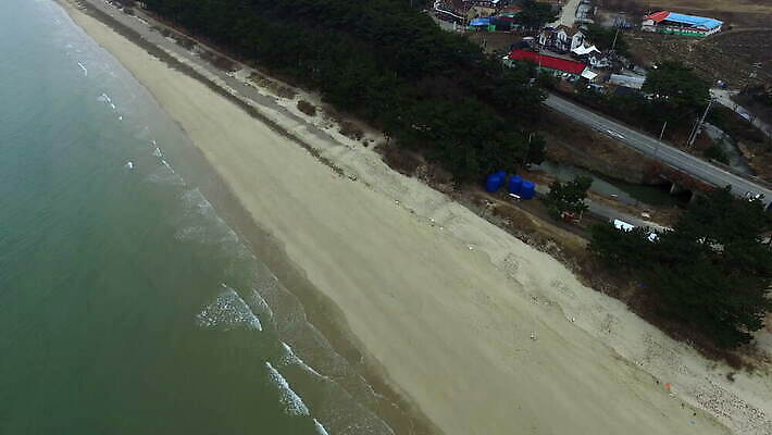 나무 선 모래 파도 바다 여행 백그라운드 자연 휴가 휴식 한국 손바닥 사람없음 야외 건물 초록색 물 파란색 여행객 평화 침묵 흰색 연못 고도 태평양 항공촬영 드론 비어있는 4K MOV 해외동영상 클립영상 자연요소 식물 건축물 손 아시아 뷰포인트 컬러 컨셉 사람 소리 생태계 동영상 파일형식