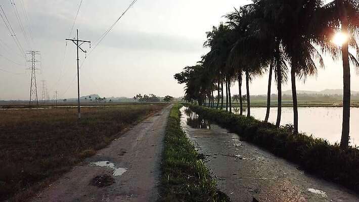 나무 구름 아시아 길 백그라운드 농업 자연 동양인 풍경 초원 사람없음 야외 초록색 농장 농경지 일출 환경 수확 성장 시골 땅 장면 내추럴 논밭 4K MOV 해외동영상 클립영상 자연요소 식물 나라 산업 컬러 밭 논 인종 노을 생태계 동영상 파일형식