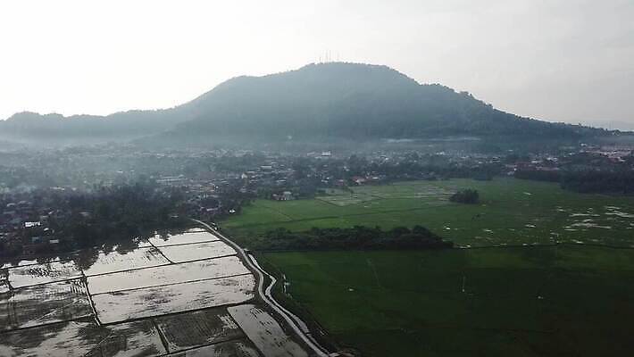 식물 아시아 여행 백그라운드 패턴 농업 자연 하늘 아침 풍경 잔디 초원 사람없음 야외 초록색 여름 농장 농경지 일출 환경 시골 황금 땅 언덕 발리 내추럴 논밭 4K MOV 해외동영상 클립영상 주간 계절 나라 산업 컬러 섬 무늬 밭 논 노을 생태계 인도네시아 동영상 파일형식