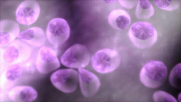 과학 신체 세포 건강 병원 실험 사람 사람없음 컴퓨터 약 3D 코트 혈액 오르간 질병 생물학 미생물 애니메이션 암 동맥 T 명패 유전 4K HD MOV 해외동영상 클립영상 알파벳 교육 의학 생물 전자제품 외투 건반악기 디지털합성 혈관 동영상 파일형식