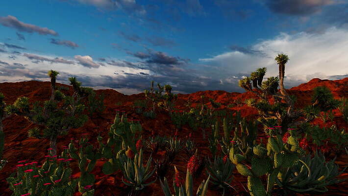 나무 식물 꽃 화분 백그라운드 잎 밭 농업 과일 자연 하늘 산 선인장 실내 취미 사람없음 야외 초록색 파란색 농장 환경 정원 미니어처 사막 성장 가시 묘사 유기농 내추럴 다육식물 이국적 4K MOV 해외동영상 클립영상 웰빙 산업 컬러 내부 모형 생태계 동영상 파일형식