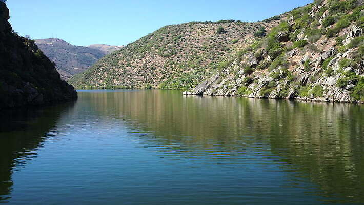유럽 여행 농업 자연 사람없음 야외 초록색 강 농장 계곡 시골 크루즈 포르투갈 언덕 포도밭 포도나무 계단식 도루강 양조장 4K MOV 해외동영상 클립영상 나라 산업 컬러 밭 배_교통 과일나무 생태계 동영상 파일형식