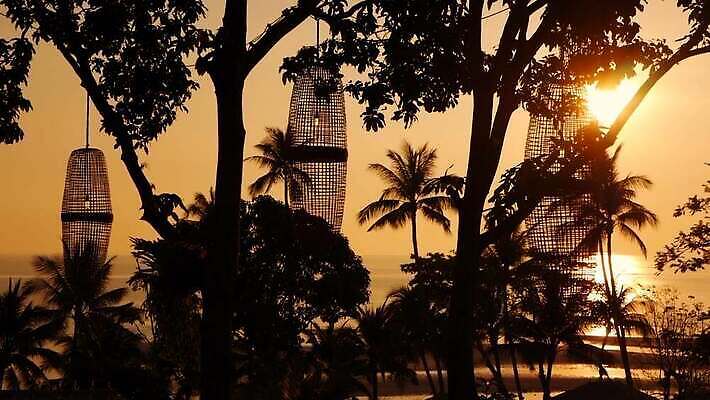 나무 실루엣 아시아 바다 섬 여행 백그라운드 오렌지 자연 하늘 휴가 손바닥 사람없음 가로 빨간색 물 컬러풀 햇빛 태양 노란색 일출 맑음 황혼 일몰 꿈 황금 야간 저녁 휴양지 코코넛 바하마 이국적 파라다이스 수평선 MOV 해외동영상 클립영상 자연요소 식물 손 나라 컬러 과일 날씨 촬영기법 노을 장소 생태계 동영상 파일형식