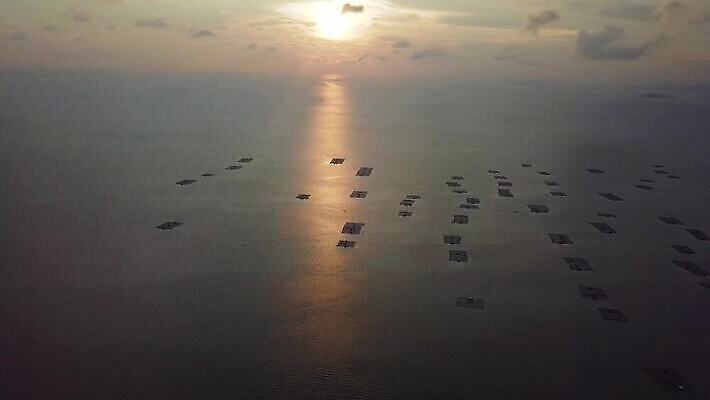 산업 바다 여행 비즈니스 자연 휴가 안테나 어류 사람없음 야외 물 농장 환경 일몰 수확 시골 만 어장 항공촬영 대패 드론 밭일 수경재배 조감도 4K 페낭 MOV 해외동영상 클립영상 자연요소 뷰포인트 농업 통신 노을 수중동물 생태계 동영상 말레이시아 파일형식