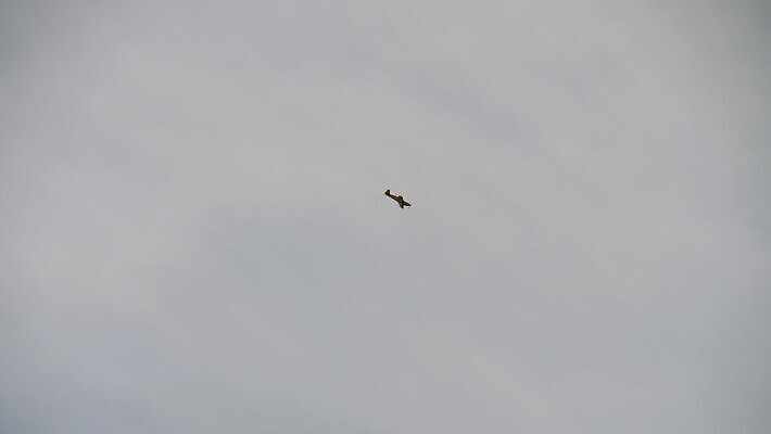 스포츠 날개 교통시설 하늘 비행기 사람없음 야외 파란색 공연 흰색 묘기 파일럿 항공 속도 프로펠러 쇼 에어쇼 곡예비행 4K MOV 해외동영상 클립영상 직업 컬러 교통 항공교통 대중교통 이벤트 비행 시설 동영상 파일형식