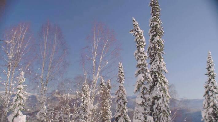 여행 겨울 자연 하늘 휴가 산 파노라마 사람없음 야외 파란색 빛 태양 냉동 침묵 놀람 흰색 전원 숲 땅 즐거움 만족 북쪽 전나무 스카이라인 무료 시베리아 환상 수평선 4K MOV 해외동영상 클립영상 자연요소 나무 계절 감정 컬러 컨셉 촬영기법 표정 소리 전기에너지 방향 생태계 동영상 파일형식
