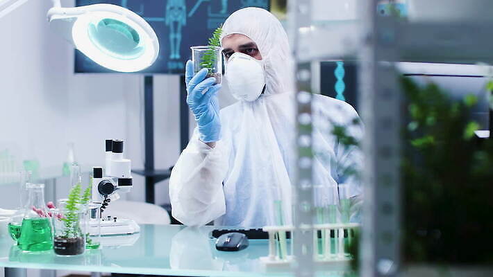 식물 직업 1 교육 산업 과학 잎 자연 노동자 현미경 실험 작업복 가면 사람 초록색 장비 시험 성장 흰색 작업 실험실 보호 생명공학 연구원 과학자 확인 대학교 생물학 공학 내추럴 묘목 유전 유전자변형 4K MOV 해외동영상 클립영상 나무 옷 컬러 컨셉 의학 학교 실험기구 생태계 동영상 학자 파일형식