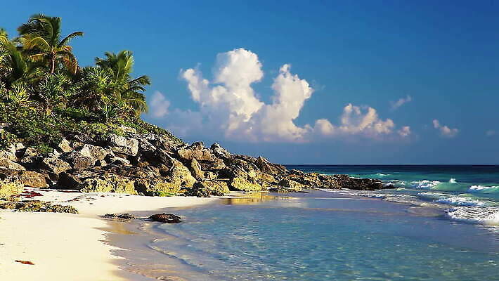 나무 구름 선 모래 파도 바다 여행 자연 하늘 휴가 멕시코 파노라마 손바닥 풍경 사람없음 야외 초록색 물 여름 파란색 맑음 미국 침묵 서핑 유카탄 마야 이국적 파라다이스 수평선 MOV 해외동영상 클립영상 자연요소 식물 손 계절 컬러 북아메리카 날씨 촬영기법 소리 수상스포츠 생태계 마야문명 동영상 파일형식