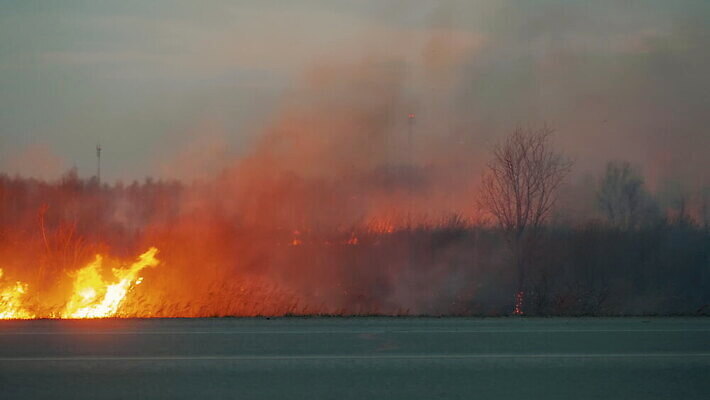 식물 도로 오렌지 자동차 자연 불 바람 날씨 불꽃 건조 풍경 초원 사람없음 야외 빨간색 여름 마을 환경 새벽 손상 안개 가을 시골 뜨거움 오염 연기 저녁 숲 위험 땅 먼지 지역 가스 문제 내추럴 연소 길가 재앙 화상 MOV 해외동영상 클립영상 자연요소 계절 길 육상교통 컬러 컨셉 과일 교통시설 상처 야간 생태계 동영상 파일형식