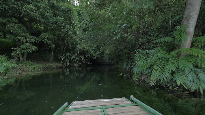 나무 아시아 여행 자연 휴가 산 항해 사람없음 초록색 물 강 탐험 보트 동굴 재산 베트남 장면 석회암 특별함 MOV 해외동영상 클립영상 자연요소 식물 나라 컬러 컨셉 배_교통 금융 동남아시아 암석 생태계 동영상 파일형식