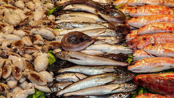 동물 전통 문화 음식 바다 컬러 백그라운드 재료 자연 아침 건강 육류 어류 사람 사람없음 빨간색 컬러풀 판매 상점 얼음 식사 흰색 신선 시장 상품 먹기 고객 해산물 피부 오징어 날것 내추럴 몰타섬 맛있는 MOV 해외동영상 클립영상 주간 자연요소 섬 식재료 모션 연체동물 신체부위 수중동물 생태계 몰타 동영상 파일형식