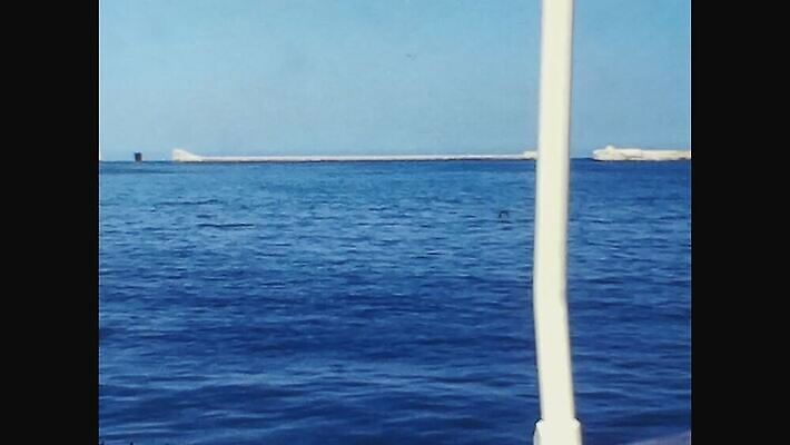 외관 유럽 바다 섬 여행 자연 하늘 휴가 사람없음 야외 물 파란색 여행객 수확 골동품 만 거친 보트 역사 클래식 도서관 지중해 필름 영화 향수 문서 복고 영사기 동영상 구식 몰타섬 보관소 아마추어 옛날 터키석 4K MOV 해외동영상 클립영상 자연요소 교육 나라 컬러 컨셉 농업 배_교통 문화예술 사람 화장품 보석 저장 생태계 몰타 파일형식