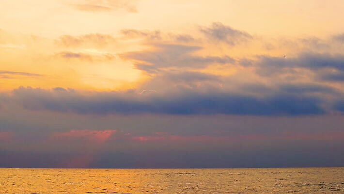 구름 호수 모래 파도 바다 섬 여행 백그라운드 벽지 하늘 아침 휴가 풍경 사람없음 야외 물 여름 파란색 빛 모래사장 햇빛 태양 일출 맑음 황혼 일몰 새벽 황금 장면 마법 천국 동영상 내추럴 마이애미 파라다이스 수평선 플로리다 4K MOV 해외동영상 클립영상 주간 자연요소 계절 컬러 날씨 노을 미국 파일형식