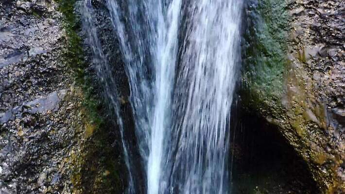 나무 식물 공원 유럽 백그라운드 잎 모션 자연 산 풍경 사람없음 초록색 물 여름 강 환경 봄 폭포 젖음 흐름 성장 가을 신선 개울 숲 시원함 천국 동쪽 루마니아 4K 유체 MP4 해외동영상 클립영상 자연요소 계절 공공시설 나라 컬러 컨셉 방향 생태계 동영상 파일형식