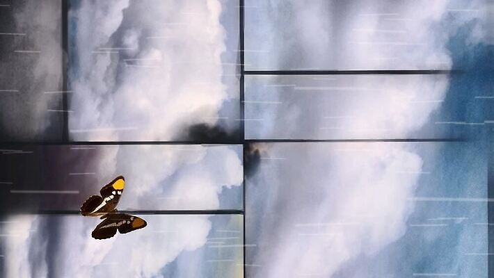 클립아트 나비 날개 손가락 천사 함께함 발렌타인데이 사람없음 장식 가로 노란색 고요 공백 꿈 자유 광선 최고 점 분위기 계획 악마 순수 생물학 빈티지배경 엽서 부드러움 신성 신화 공상 찢어짐 천국 반대 나쁜 결백 구식 그런지 단아함 무료 양피지 MOV 해외동영상 클립영상 손 교육 컬러 곤충 백그라운드 컨셉 모션 데이이벤트 빈티지 감각 편지 동영상 파일형식