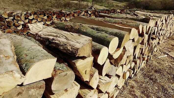 나무 직업 산업 백그라운드 비즈니스 자연 벽지 불 사람없음 목재 환경 힘 기계 재활용 에너지 수확 소나무 업무 뜨거움 상품 숲 장작 열대우림 자르기 질감 통나무 연료 자작나무 잡동사니 내추럴 벌목 생태학 수목 원자재 4K MP4 해외동영상 클립영상 자연요소 식물 교육 농업 재료 모션 작업 친환경 생태계 동영상 파일형식