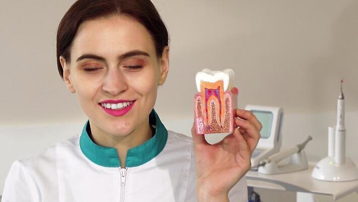 모델 직업 얼굴 건강 치과 병원 한명 미소 사람 치료 약 건강관리 의사 치아 치과의사 턱 보철 치아교정 4K 구강학 MOV 해외동영상 클립영상 1 의학 표정 관리 신체부위 의료진 소화기관 교정 동영상 파일형식