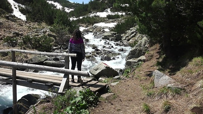 라이프스타일 공원 여자 행복 안경 길 스포츠 여행 자연 산 건강 미소 사람 풍경 사람없음 야외 물 여름 강 산책 하이킹 흐름 가리킴 개울 고도 빙하 포인트 전국 절정 하이커 1인칭시점 4K HD 반스코 MP4 해외동영상 클립영상 자연요소 시선 잡화 계절 공공시설 감정 컨셉 레저 휴식 표정 손짓 생활 금융 생태계 동영상 불가리아 파일형식