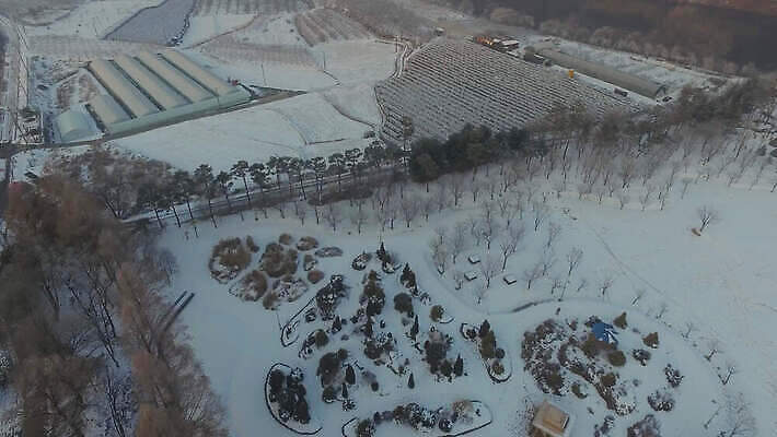 나무 계절 공원 겨울 밭 자연 하늘 아침 날씨 한국 사람없음 목재 빨간색 빛 햇빛 태양 농장 일출 환경 일몰 흰색 시골 숲 큼 장면 커뮤니티 상록수 일반 넘어짐 드론 생태학 눈내림 4K MOV 해외동영상 클립영상 주간 자연요소 식물 공공시설 교육 아시아 컬러 농업 재료 모션 눈_날씨 노을 크기 생태계 동영상 파일형식