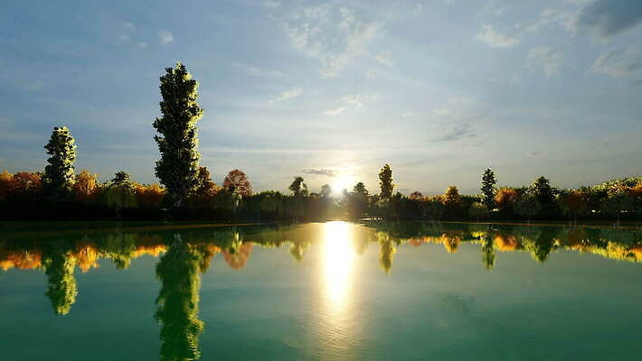 식물 꽃 호수 파도 잎 패턴 자연 낚시 항해 풍경 사람없음 여름 강 반사 환경 맑음 자유 안개 벚꽃 연못 습지 강가 백합 순수 속도 생태계 생물학 좁은 낚시꾼 루마니아 석호 채널 수평선 4K MOV 해외동영상 클립영상 계절 교육 유럽 바다 컨셉 무늬 배_교통 레저 날씨 동영상 파일형식