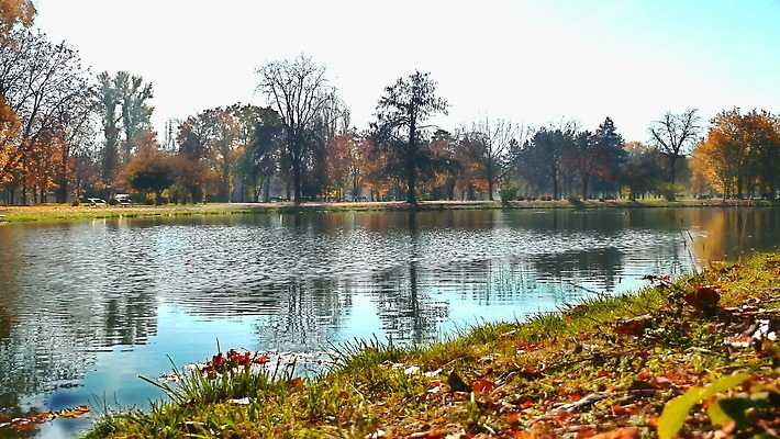 나무 공원 호수 자연 하늘 풍경 사람없음 야외 초록색 물 여름 태양 반사 일출 가을 숲 내추럴 요세미티국립공원 콜로라도 4K MOV 해외동영상 클립영상 자연요소 식물 계절 공공시설 컬러 국립공원 노을 미국 생태계 캘리포니아 동영상 파일형식