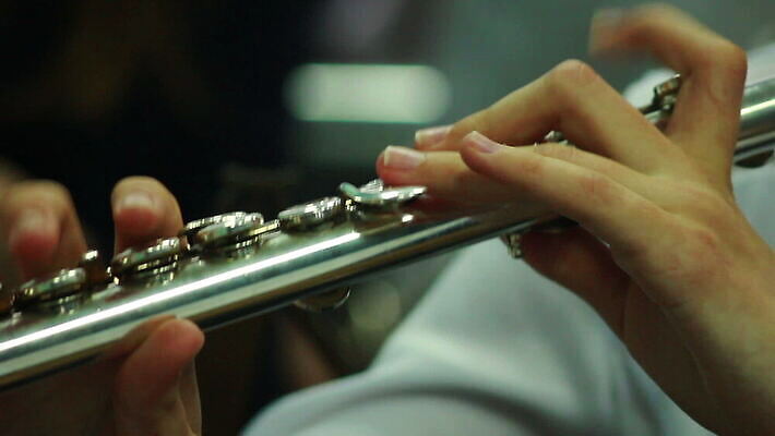 직업 손 줄 악기 음악 놀이 바람 뿔 실내 미술 취미 금속 축제 소리 콘서트 장비 기구 클래식 낙서 색소폰 스케치 바이올린 드럼 예술가 오디오 트럼펫 튜브 재즈 오케스트라 교향곡 놋쇠 멜로디 뮤지컬 플레이어 MOV 해외동영상 클립영상 자연요소 컨셉 재질 현악기 날씨 문화예술 타악기 내부 신체부위 전자제품 공연 악단 목관악기 금관악기 동영상 파일형식