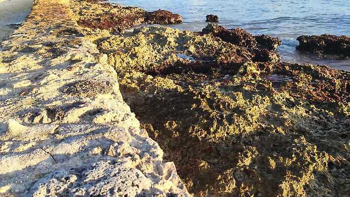 모래 바다 섬 여행 우산 태국 자연 호텔 휴가 등대 파노라마 사람없음 물 태양 파티 여행객 일몰 중앙아메리카 산호 저녁 휴양지 선베드 암초 대서양 도미니카공화국 이국적 파라다이스 포상금 4K MP4 해외동영상 클립영상 자연요소 아시아 돈 의자 숙소 촬영기법 아메리카 사람 이벤트 노을 장소 남아메리카 자포동물 야간 생태계 동영상 파일형식