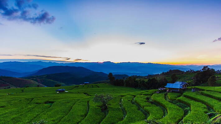 식물 아시아 여행 백그라운드 이동 농업 태국 자연 하늘 아침 바람 산 사람 사람없음 야외 초록색 컬러풀 태양 농장 새싹 일출 계곡 황혼 일몰 새벽 시골 저녁 오두막 시골집 베트남 내추럴 논밭 랜드마크 막 4K 타임랩스 MOV 해외동영상 클립영상 주간 자연요소 나라 산업 컬러 컨셉 밭 날씨 주택 논 촬영기법 노을 동남아시아 야간 생태계 동영상 파일형식