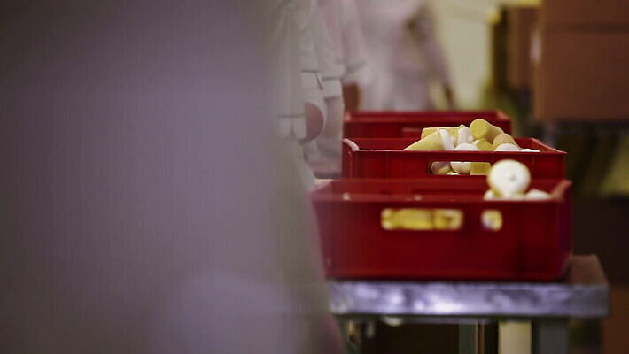 식물 직업 산업 음식 비즈니스 공장 아이스크림 노동자 사람 사람없음 상자 얼음 업무 제조 상품 종업원 크림 패키지 원뿔 많음 MOV 해외동영상 클립영상 자연요소 도형 컨셉 공업 디저트 작업 동영상 파일형식