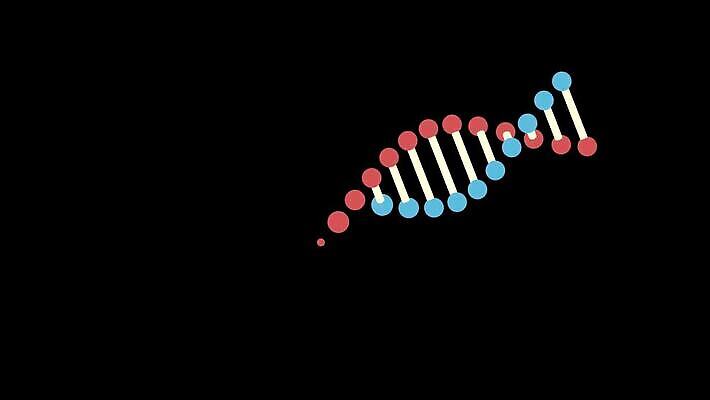 모델 디자인 과학 백그라운드 추상 세포 건강 미술 사람 사람없음 그래픽 약 3D 진화 바이러스 DNA 생명공학 생물학 염색체 조제 더블 복제 신맛 유전 MOV 해외동영상 클립영상 교육 무늬 의학 문화예술 맛 소방 디지털합성 만들기 동영상 파일형식