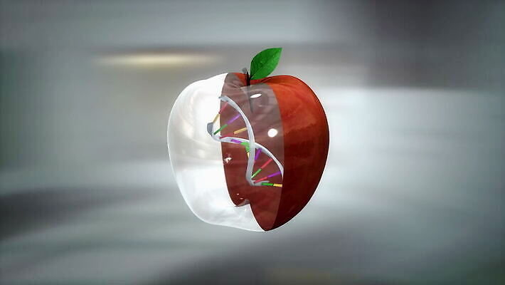 음식 과학 농업 과일 자연 건강 실험 안전 사람없음 컴퓨터 3D 상품 DNA 생명공학 유기농 주사약 애니메이션 이슈 조작 화학물질 4K HD MOV 해외동영상 클립영상 웰빙 산업 의학 전자제품 약 화학 디지털합성 생태계 동영상 파일형식