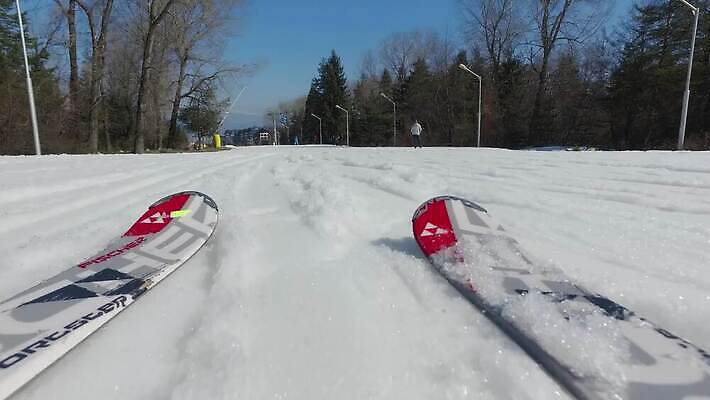 라이프스타일 스포츠 포즈 겨울 자국 자연 하늘 스키 산 사람 경사 사람없음 야외 태양 카메라 장비 추위 흰색 스노우보드 위험 발자국 셀프카메라 가루 언덕 속도 휴양지 스키선수 선로 자취 제설기 조지아 1인칭시점 4K MP4 해외동영상 클립영상 자연요소 시선 계절 컬러 컨셉 겨울스포츠 운동선수 생활 전자제품 사진촬영 장소 보드_스포츠 생태계 동영상 동유럽 제설 파일형식