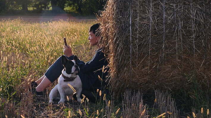 식물 라이프스타일 여자 산업 문화 밭 농업 비즈니스 자연 휴식 노동자 한명 미소 사람 성인 야외 여름 빛 농작물 햇빛 농장 농경지 환경 수확 성장 작업 메시지 개 농부 땅 유기농 밀짚 국산 내추럴 밭일 세련 4K MOV 해외동영상 클립영상 직업 1 웰빙 계절 컨셉 포유류 표정 생활 태양 짚 생태계 동영상 파일형식