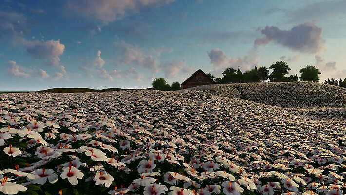 식물 디자인 계절 꽃잎 꽃 줄기 백그라운드 잎 꽃무늬 자연 손바닥 미술 사람없음 장식 정원 봄 낭만 수확 벚꽃 흰색 개화 하와이 내추럴 이국적 하와이인 히비스커스 벡터 MOV 해외동영상 클립영상 외국인 손 컬러 컨셉 무늬 농업 문화예술 미국 생태계 동영상 파일형식