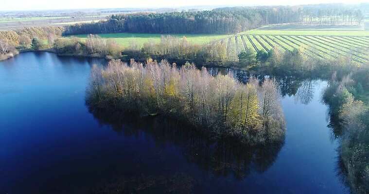 나무 유럽 호수 섬 모션 자연 하늘 독일 안테나 사람없음 야외 초록색 물 파란색 반사 노란색 황금 숲 작음 느림 항공촬영 드론 랜드마크 4K MOV 해외동영상 클립영상 자연요소 식물 나라 뷰포인트 컬러 통신 크기 생태계 동영상 파일형식