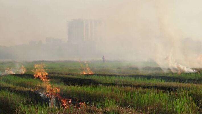 백그라운드 불 불꽃 건조 초원 사람없음 빨간색 글로벌 햇빛 태양 농장 마을 손상 시골 오픈 뜨거움 연기 농부 위험 밭일 생태학 재앙 화상 4K MOV 해외동영상 클립영상 자연요소 직업 교육 컬러 컨셉 농업 상처 동영상 파일형식