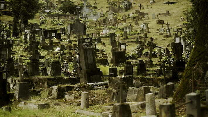 나무 유럽 십자가 스웨덴 사람없음 할로윈 죽음 무덤 잡기 유령 무서움 땅 비석 묘사 러시아 신성 10월 깊이 리투아니아 소비에트 장례식 오싹 4K MOV 해외동영상 클립영상 식물 감정 나라 모션 북유럽 날짜 동영상 파일형식