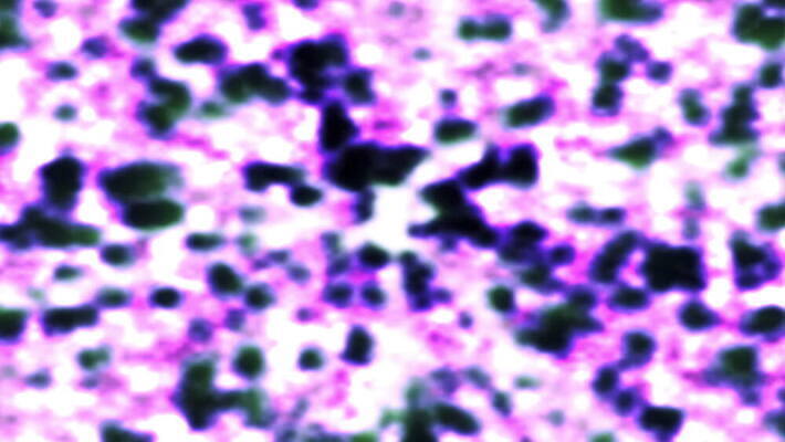 파도 백그라운드 패턴 모션 벽지 표면 추상 요정 미술 사람없음 장식 빛 뷰티 유행 흰색 직물 액체 우아함 매끈함 소프트포커스 천 질감 보케 부드러움 섬유 마법 애니메이션 동영상 광 효과 4K MOV 해외동영상 클립영상 바다 컬러 컨셉 무늬 문화예술 촬영기법 감각 파일형식