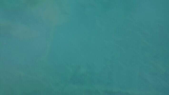 나무 계절 공원 호수 여행 자연 안테나 파노라마 국립공원 풍경 사람없음 야외 목재 초록색 물 여름 파란색 강 환경 맑음 미국 침묵 놀람 봄 전원 연못 소나무 황무지 숲 장면 브라질 내추럴 드론 랜드마크 스칸디나비아 전국 조감도 4K MOV 해외동영상 클립영상 자연요소 식물 공공시설 감정 컬러 북아메리카 재료 통신 날씨 촬영기법 표정 소리 남아메리카 전기에너지 생태계 동영상 파일형식