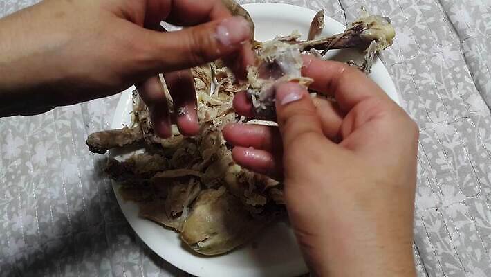 손 장갑 노동자 뼈 주택 골격 실내 육류 돼지고기 스테이크 요리사 치킨 소고기 바비큐 자르기 향신료 준비 주부 분열 단백질 4K MOV 해외동영상 클립영상 직업 잡화 음식 식재료 모션 서양음식 내부 건물 신체부위 동영상 닭고기요리 영양소 향미료 파일형식