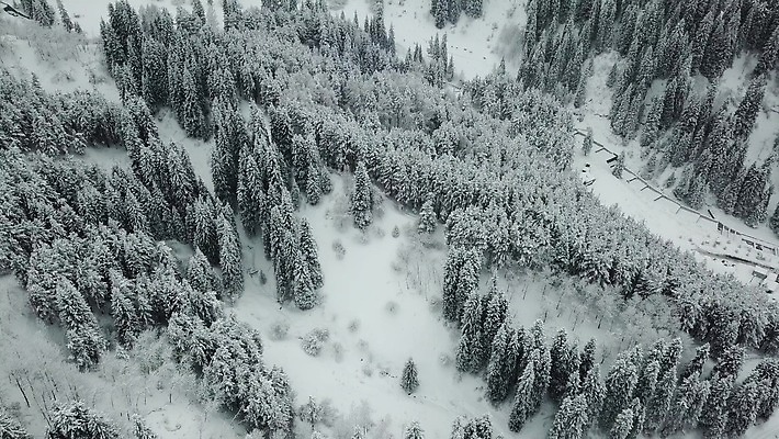 나무 도로 여행 백그라운드 크리스마스 겨울 자국 자연 날씨 새해 산 안테나 풍경 사람없음 야외 냉동 추위 안개 가을 흰색 나뭇가지 소나무 정상 숲 언덕 서리 전나무 흐림 눈보라 항공촬영 드론 제설기 카자흐스탄 눈내림 가문비나무 4K 알마티 MP4 해외동영상 클립영상 식물 계절 기념일 아시아 길 뷰포인트 컬러 통신 교통시설 눈_날씨 생태계 동영상 제설 파일형식